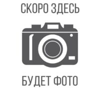 skoro